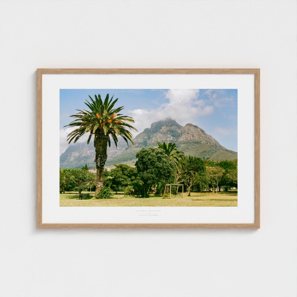 Football Pitch Print - Cape Town (Jurassic Park), South Africa | Footy Dreams
