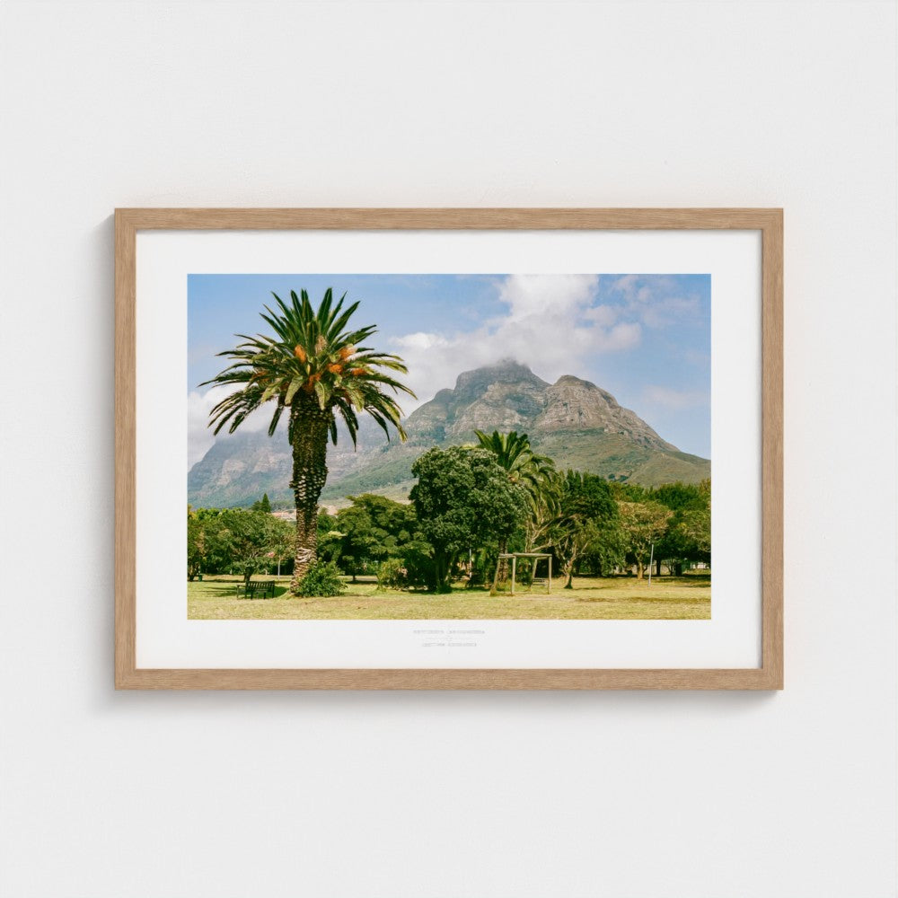Football Pitch Print - Cape Town (Jurassic Park), South Africa | Footy Dreams